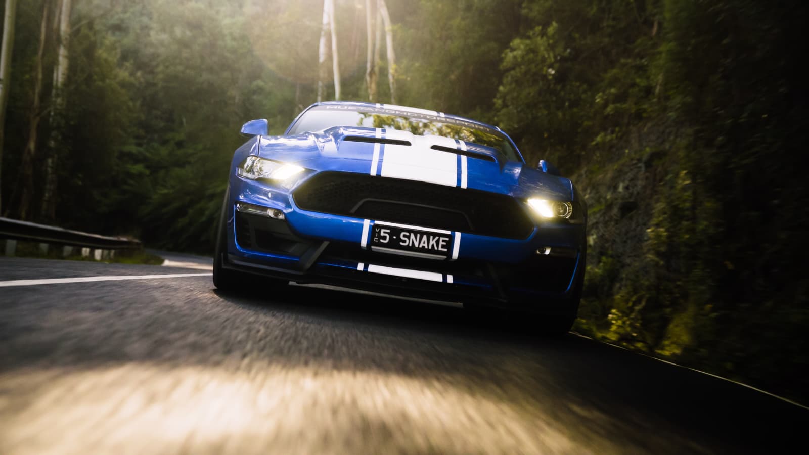 Shelby Supersnake