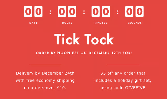 Alt text: image of an email countdown timer for digital marketing examples